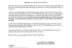 Công văn 231/TCHQ-GSQL  nộp C/O trong bộ hồ sơ hải quan điện tử