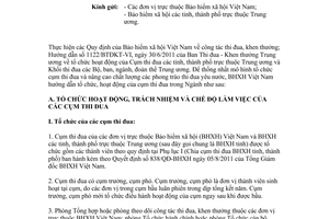 Công văn 33/BHXH-TĐKT năm 2012 hướng dẫn hoạt động của cụm thi đua