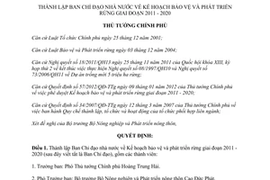 Quyết định 58/QĐ-TTg thành lập Ban Chỉ đạo nhà nước Kế hoạch bảo vệ