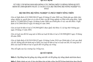 Quyết định 127/QĐ-BNN-TT cấp bằng bảo hộ giống cây trồng mới