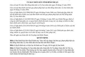 Quyết định 03/2012/QĐ-UBND xây dựng văn bản của HĐND UBND tỉnh Bình Thuận