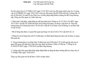 Công văn 738/TCHQ-GSQL vướng mắc mã HS trên C/O mẫu D
