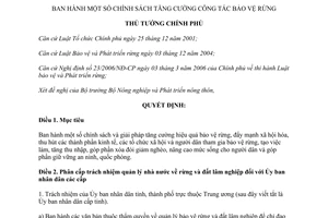 Quyết định 07/2012/QĐ-TTg chính sách tăng cường công tác bảo vệ rừng