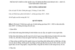 Quyết định 226/QĐ-TTg năm 2012 phê duyệt Chiến lược quốc gia về dinh dưỡng giai