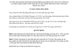 Quyết định 131/QĐ-UBND 2012 thực hiện Chiến lược Dân số Sức khỏe sinh sản Việt Nam tỉnh Gia Lai