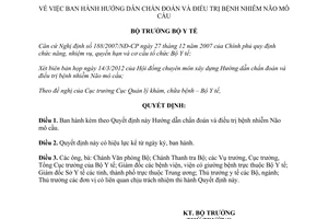 Quyết định 975/QĐ-BYT hướng dẫn chẩn đoán và điều trị bệnh nhiễm Não mô cầu