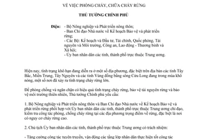 Công điện 300/CĐ-TTg phòng, chữa cháy rừng