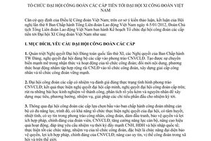 Kế hoạch 02/KH-TLĐ năm 2013 tổ chức Đại hội Công đoàn các cấp tiến tới Đại hội XI Công đoàn Việt Nam