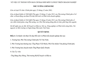 Quyết định 298/QĐ-TTg năm 2012 cử thành viên Ban Chỉ đạo Đổi mới và Phát triển d