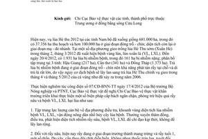 Công văn 661/BVTV-BPTT tập trung phòng trừ rầy nâu bệnh vàng lùn lùn xoắn lá