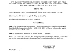 Nghị quyết 10/NQ-CP  Chiến lược phát triển kinh tế-xã hội 2011-2020