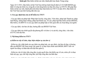 Công văn 1726/BHXH-KT hướng dẫn nội dung kiểm tra thực thi công vụ