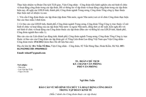 Công văn 711/TLĐ báo cáo mô hình tổ chức và hoạt động công đoàn