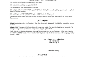 Quyết định 19/2012/QĐ-UBND tên miền địa chỉ IP Hệ thống mạng thông tin Lào Cai