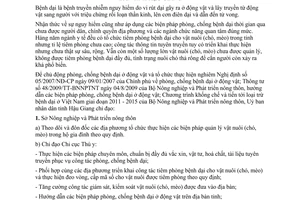 Chỉ thị 05/2012/CT-UBND công tác phòng chống bệnh dại ở động vật tại Hậu Giang