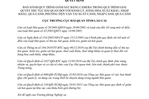 Quyết định 159/QĐ-HQLC năm 2012 giám sát bằng camera giải quyết thủ tục hải quan