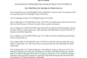 Quyết định 157/QĐ-HQLC năm 2012 Kiểm tra hải quan bằng cân ô tô điện tử