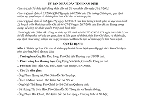 Quyết định 09/2012/QĐ-UBND thành lập Ban Chỉ đạo về nhân quyền tỉnh Nam Định