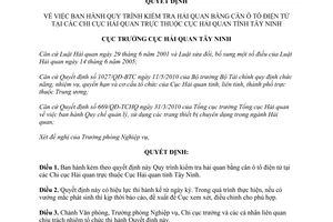 Quyết định 190/QĐ-HQTN năm 2012 về Quy trình kiểm tra hải quan