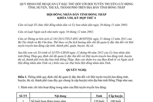 Nghị quyết 75/2012/NQ-HĐND quy định chế độ quản lý đặc thù Đội tuyên truyền