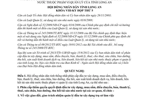 Nghị quyết 53/2012/NQ-HĐND phân cấp đầu tư tài sản nhà nước tỉnh Long An