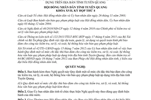 Nghị quyết 03/2012/NQ-HĐND mức chi đặc thù công tác kiểm tra xử lý văn bản