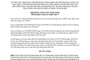 Nghị quyết 15/2012/NQ-HĐND mức hỗ trợ hàng tháng đối với Trưởng Ban Chi hội trưởng Bí thư Ninh Bình