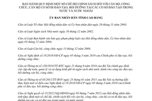 Quyết định 981/2012/QĐ-UBND Quy định chế độ chính sách đối với cán bộ công chức