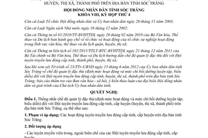 Nghị quyết 10/2012/NQ-HĐND chế độ quản lý đặc thù định mức hoạt động mức chi