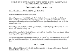 Quyết định 873/QĐ-UBND 2012 Phương án bảo vệ tài nguyên khoáng sản chưa khai thác Kon Tum