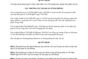 Quyết định 867/QĐ-HQHP năm 2012 Quy chế làm việc Tổ giám sát kiểm tra đột xuất