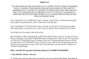 Thông tư 23/2012/TT-BLĐTBXH  sửa đổi Thông tư 19/2007/TT-BLĐTBXH hướng dẫn