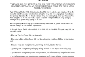 Thông báo 5216/TB-BNN-VP ý kiến chỉ đạo Bộ trưởng Cao Đức Phát xây dựng Đề án