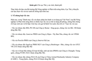 Công văn 1989/TY-DT khuyến cáo vắc xin phòng chống dịch lợn Tai xanh