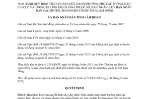 Quyết định 46/2012/QĐ-UBND Quy định tiêu chuẩn chức danh trưởng phó phòng ban