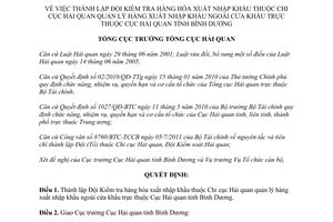 Quyết định 2517/QĐ-TCHQ năm 2012 thành lập Đội Kiểm tra hàng hóa xuất nhập khẩu