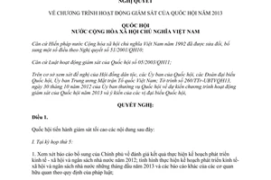 Nghị quyết 34/2012/QH13 Chương trình hoạt động giám sát của Quốc hội năm 2013