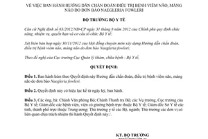 Quyết định 4991/QĐ-BYT năm 2012 hướng dẫn chẩn đoán điều trị bệnh viêm não