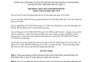 Nghị quyết 31/2012/NQ-HĐND đặt tên đường đô thị Thanh Bình huyện Bù Đốp Bình Phước đợt 1