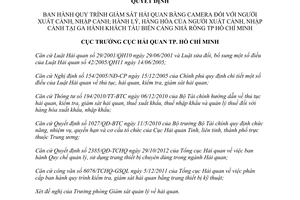 Quyết định 1661/QĐ-HQHCM năm 2012 Quy trình giám sát hải quan bằng camera