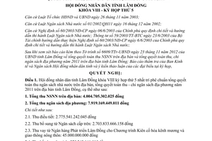 Nghị quyết 59/2012/NQ-HĐND phê chuẩn tổng quyết toán Ngân sách nhà nước Lâm Đồng