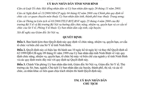 Quyết định 30/2012/QĐ-UBND nhiệm vụ quyền hạn cơ cấu tổ chức biên chế Sở Y tế Ninh Bình