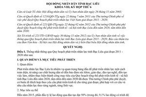 Nghị quyết 29/2012/NQ-HĐND Quy hoạch phát triển nhân lực Bạc Liêu 2011 - 2020