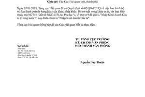 Công văn 43/TCHQ-VP đính chính phụ lục V Quyết định 02/QĐ-TCHQ bộ mã loại hình