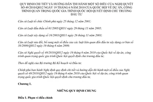 Nghị định 03/2013/NĐ-CP hướng dẫn Nghị quyết 49/2010/QH12