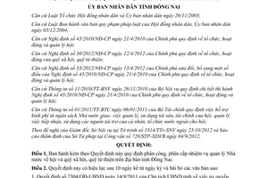 Quyết định số 01/2013/QĐ-UBND Quản lý hội và quỹ xã hội quỹ từ thiện Đồng Nai