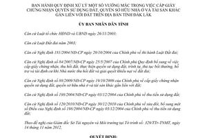 Quyết định 03/2013/QĐ-UBND Quy định xử lý vướng mắc trong cấp Giấy chứng nhận