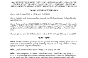 Quyết định 02/2013/QĐ-UBND vị trí chức năng nhiệm vụ quyền hạn cơ cấu Chi cục