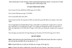 Quyết định 05/2013/QĐ-UBND Quy chế đấu thầu kinh doanh khai thác quản lý chợ