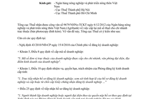 Công văn 481/TCT-KK cấp lại mã số thuế cho chi nhánh trực thuộc